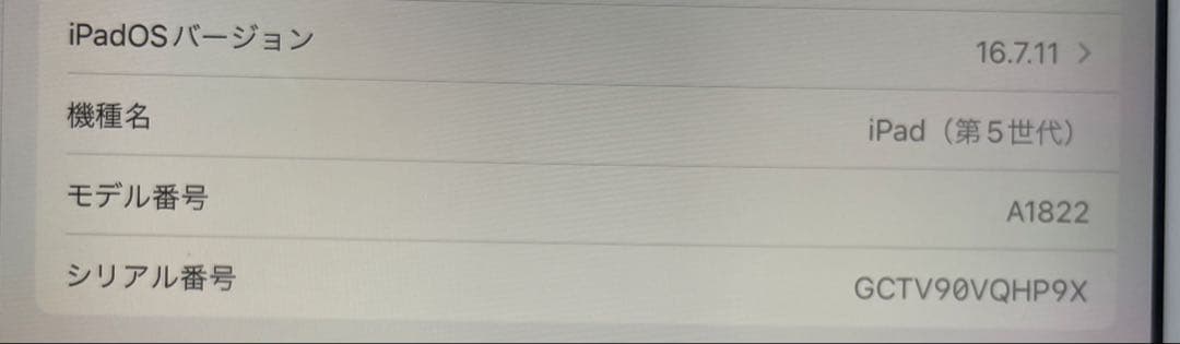 ゴールド iPad 第5世代