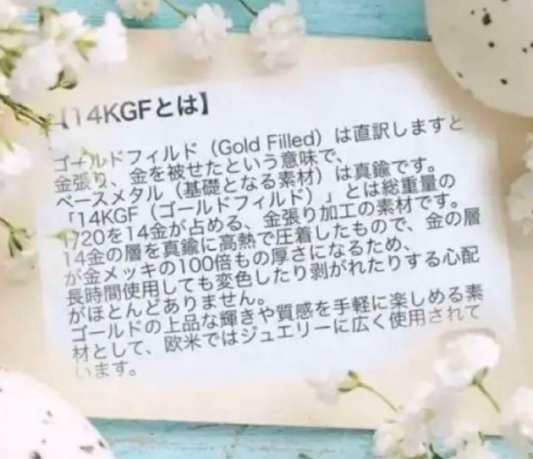 一点物✧ピンクフォッシルコーラル×ジェムカットガーネットピアス✧2Way