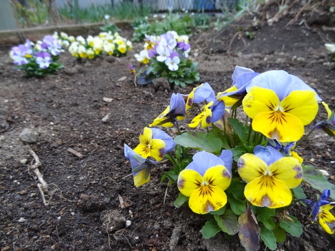 実写美⭕️【動作確認済み】 SONY Cyber−Shot DSC-HX10V