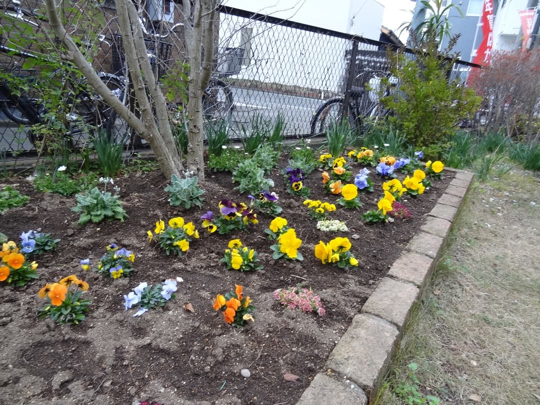 実写美⭕️【動作確認済み】 SONY Cyber−Shot DSC-HX10V