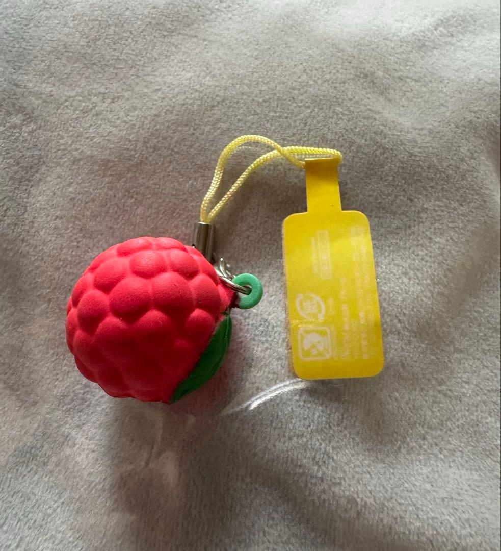 オールドブルーム スクイーズ ラズベリー