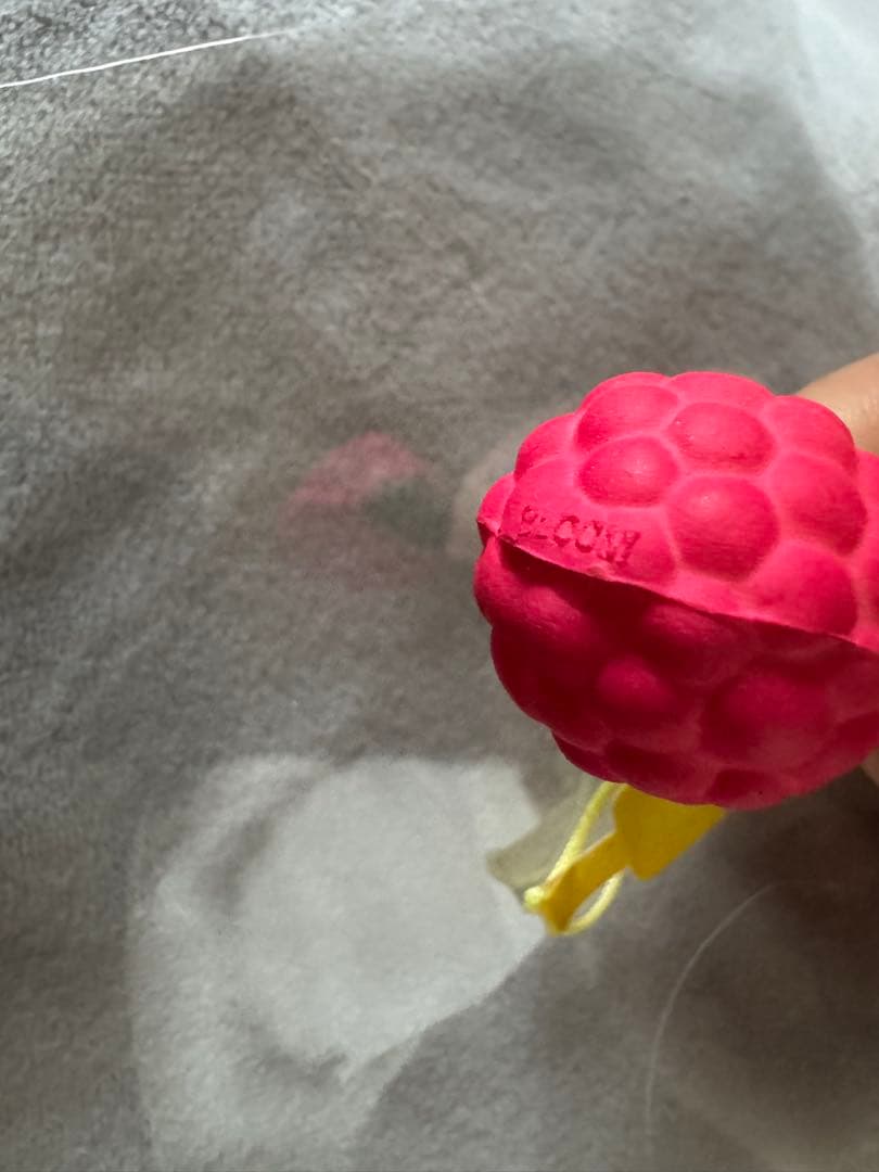 オールドブルーム スクイーズ ラズベリー