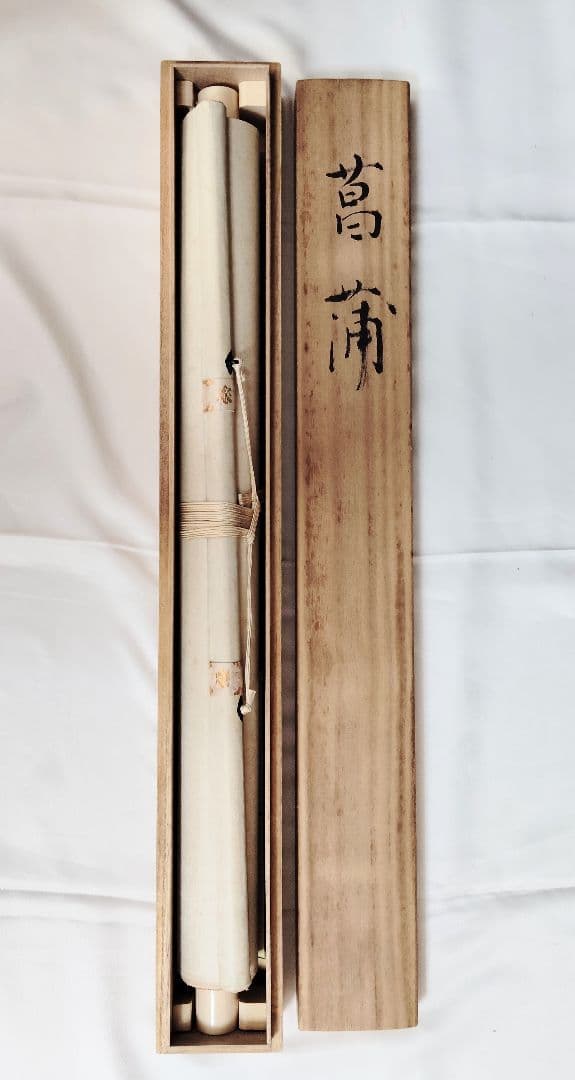 12-9　小川朝陽　菖蒲