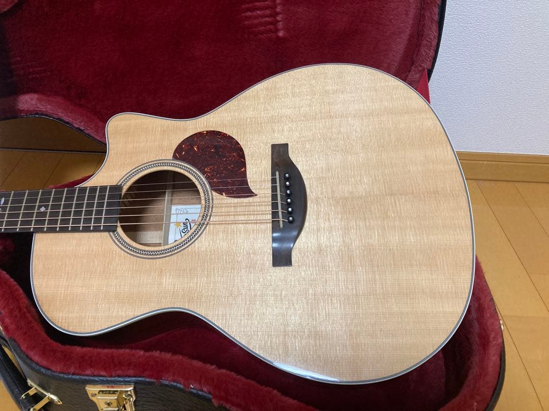 STARSUN by OGINO GUITARS F120-GA オール単板