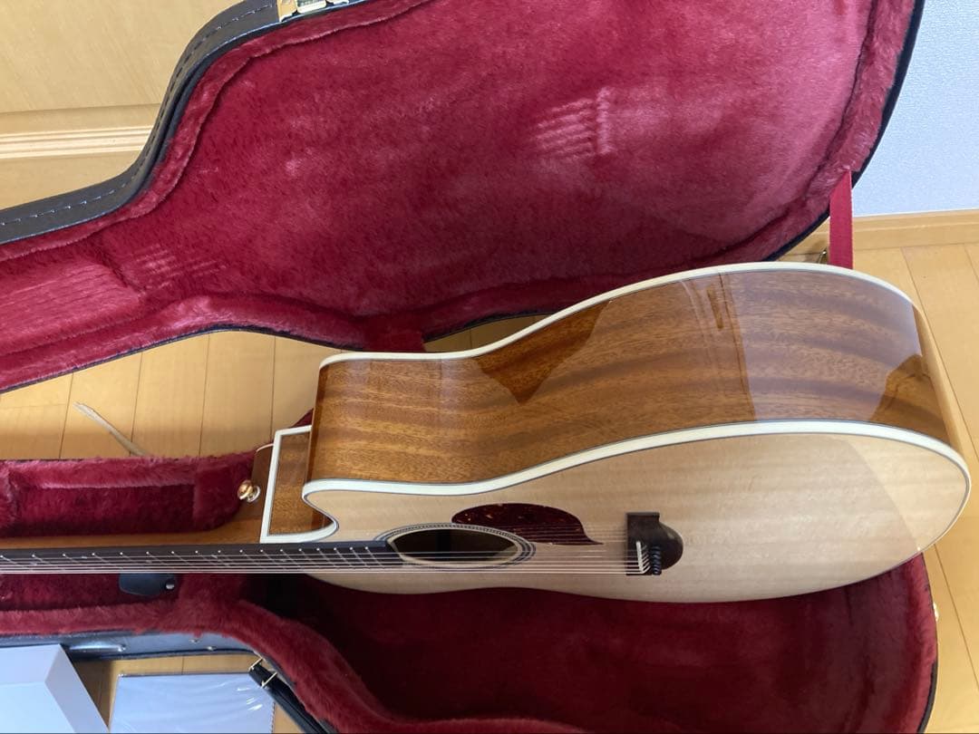 STARSUN by OGINO GUITARS F120-GA オール単板