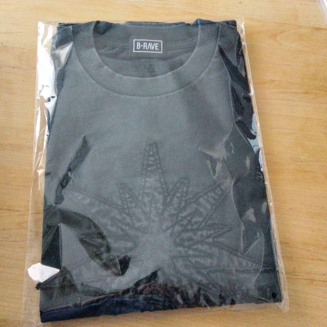 HANA ロゴTシャツ　Lサイズ　新品未使用