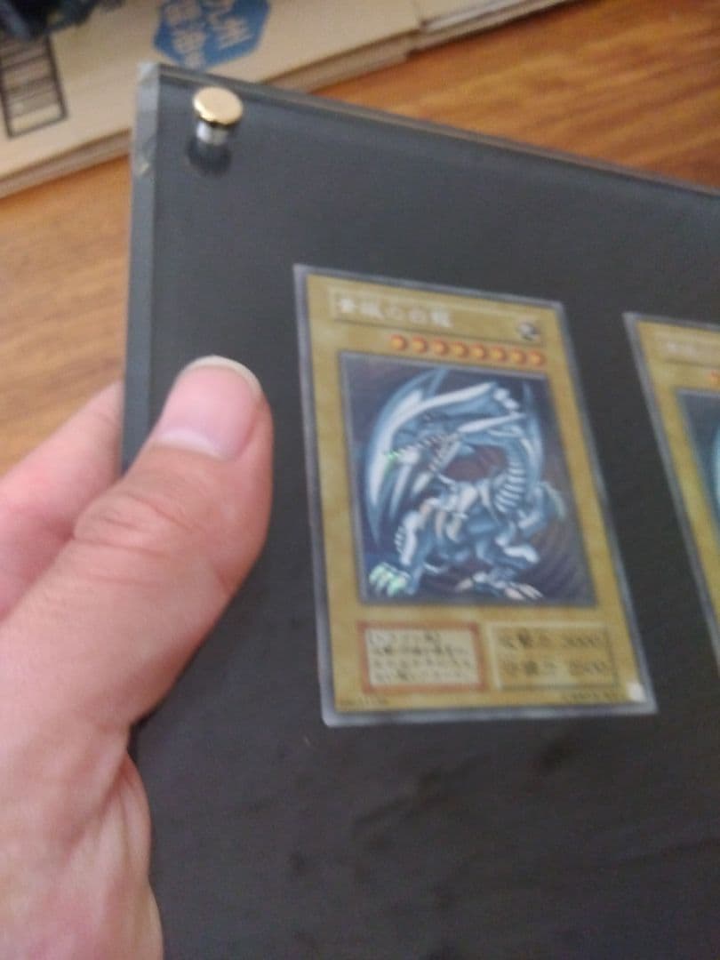 海馬セット　ブルーアイズ 青眼の白龍　シークレット　3枚　25th　シクブル