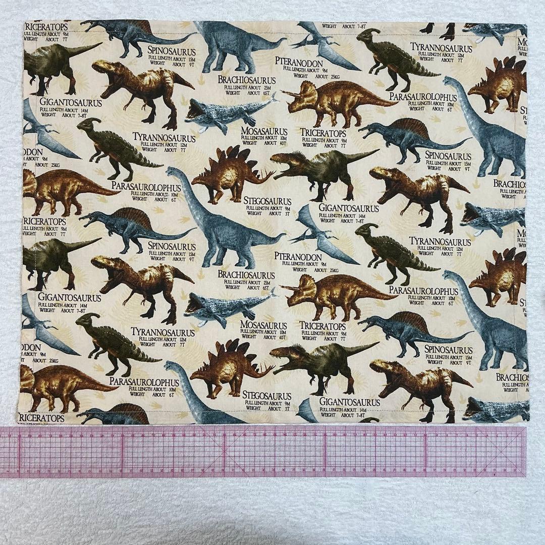 079恐竜大集合 給食セット×5枚　小学校 ランチョンマット ネーム 入学 給食