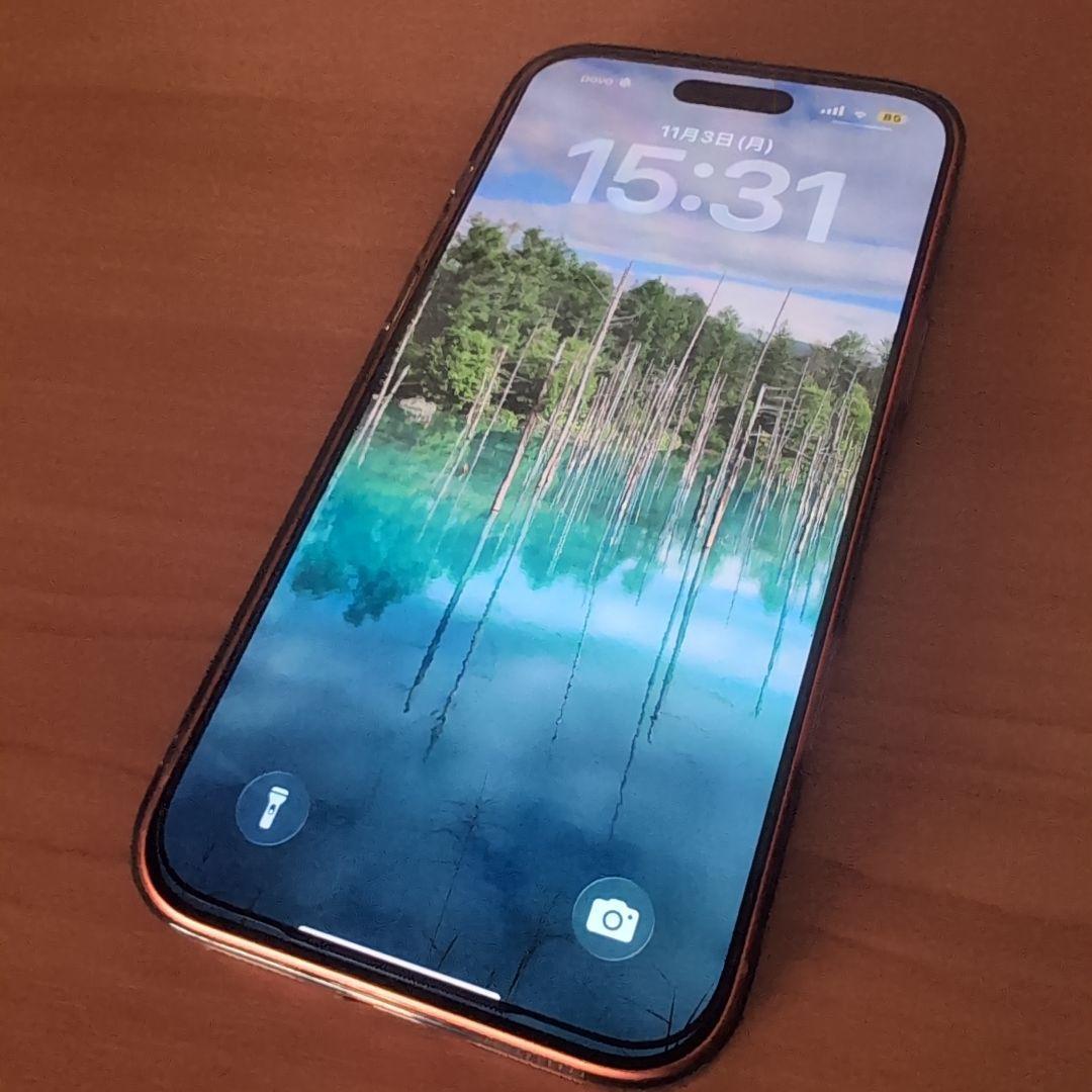 ナ*ナ様 即日発送 iPhone 17pro max simフリー 256GB