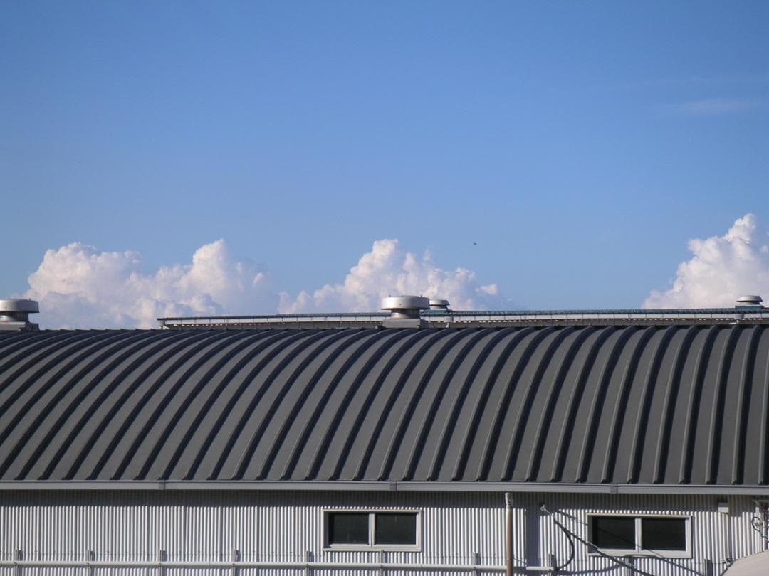 【スマホ転送OK】MINOLTA DIMAGE Xt シルバー 動作確認済み