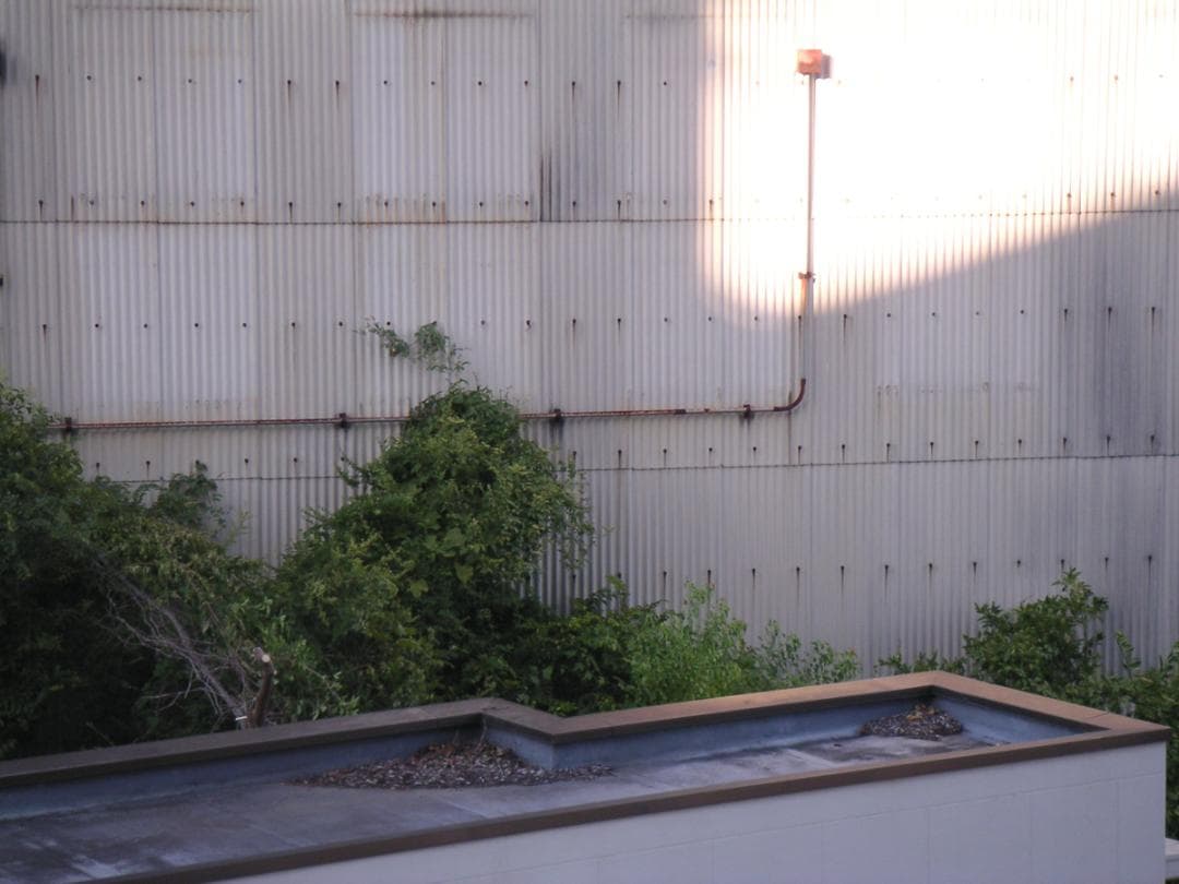 【スマホ転送OK】MINOLTA DIMAGE Xt シルバー 動作確認済み