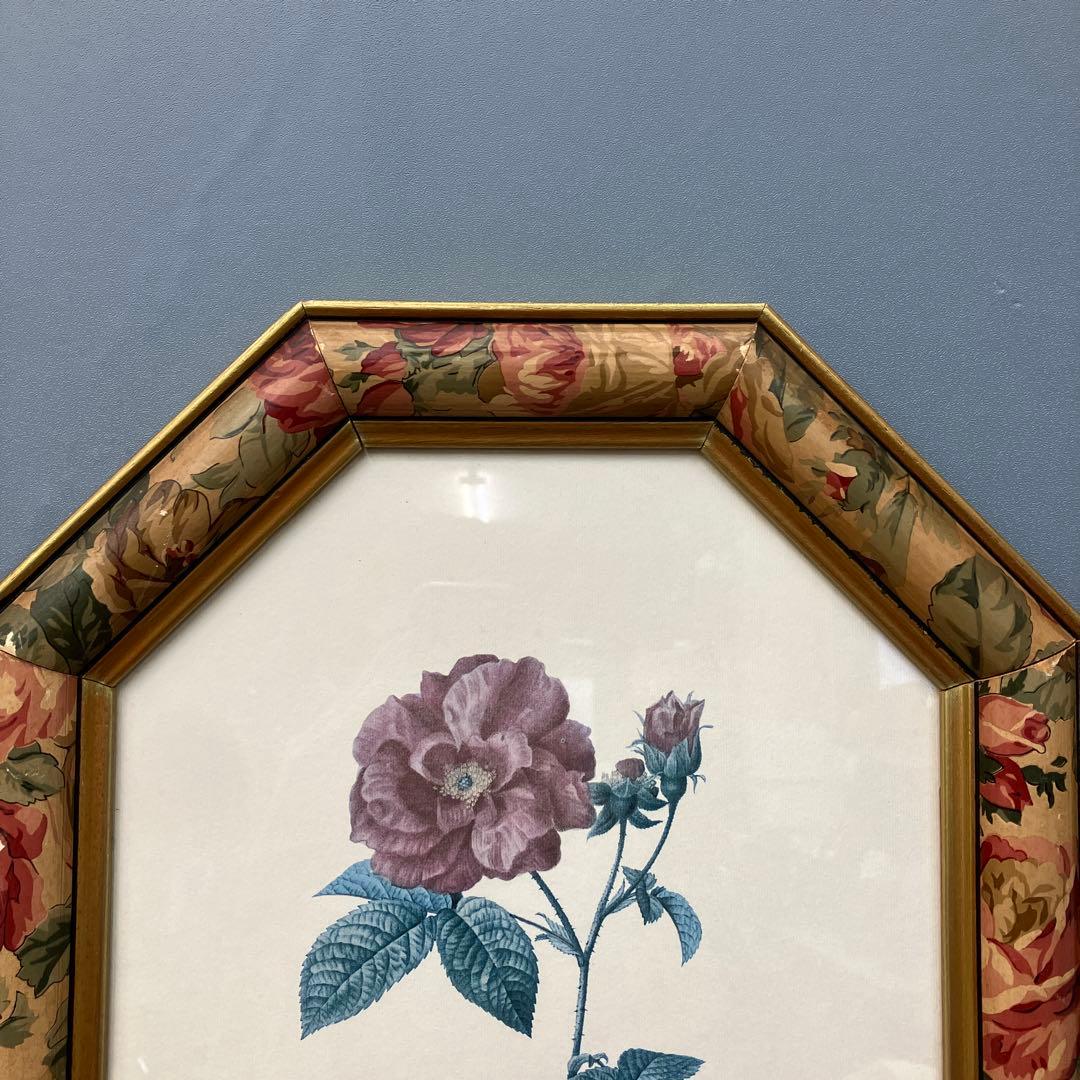 【イタリア製】ボタニカルアート 八角形 額縁 額装 薔薇 ロサ・ガリカ 花 絵画