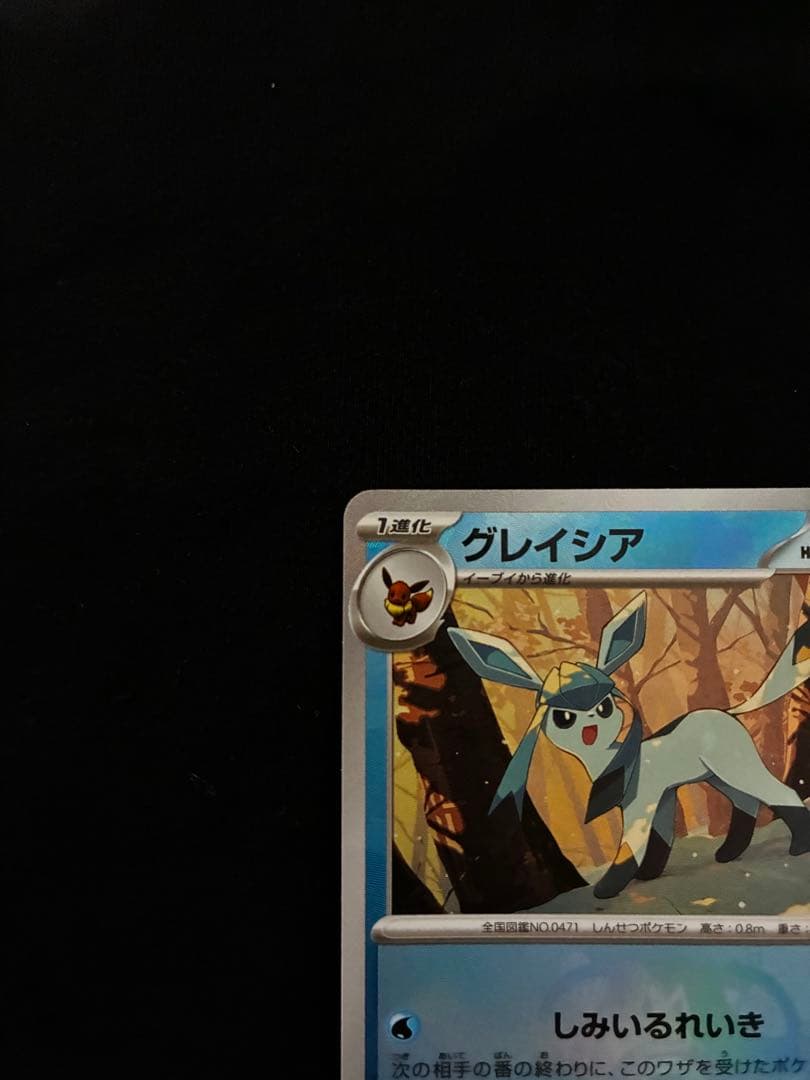 ポケモンカードセット メガリザードンX グレイシア