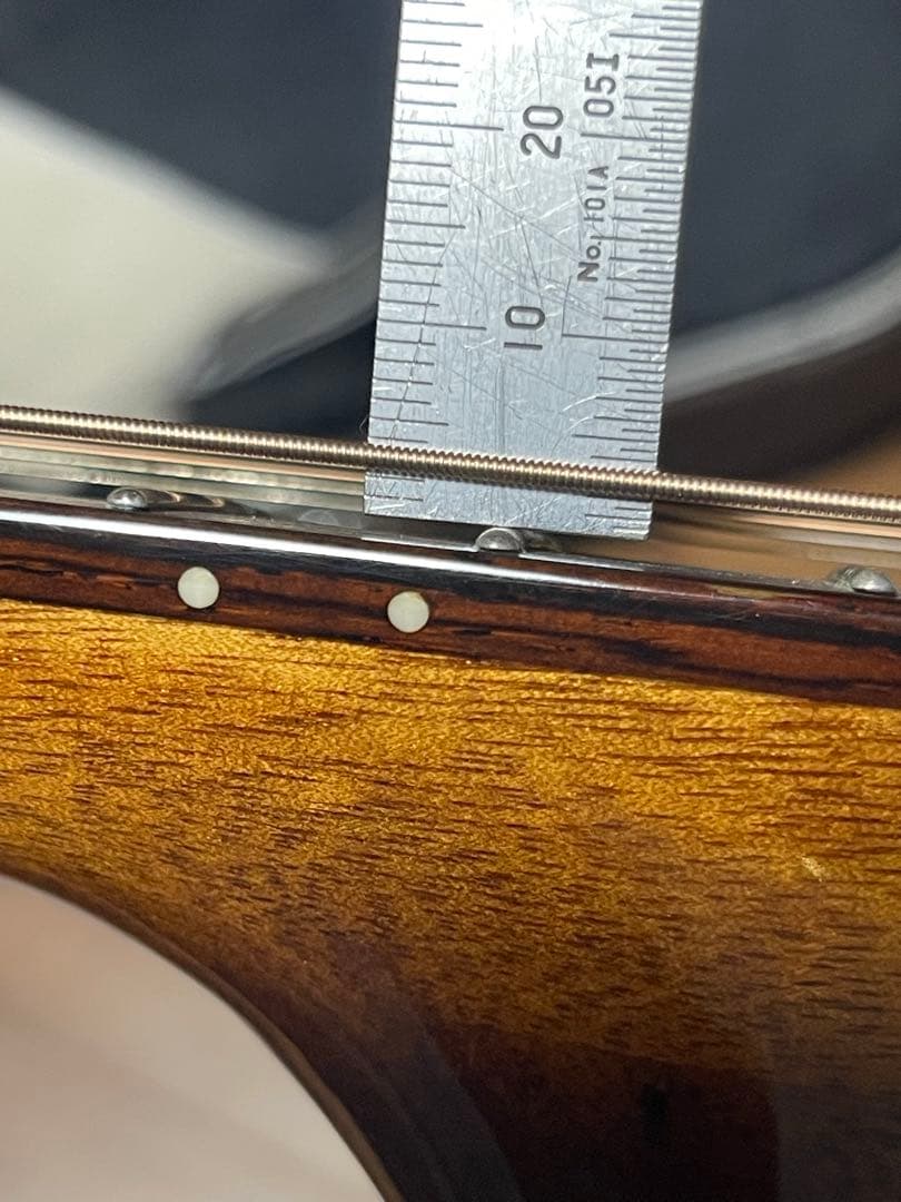 メリダ　セデュー　2020年製