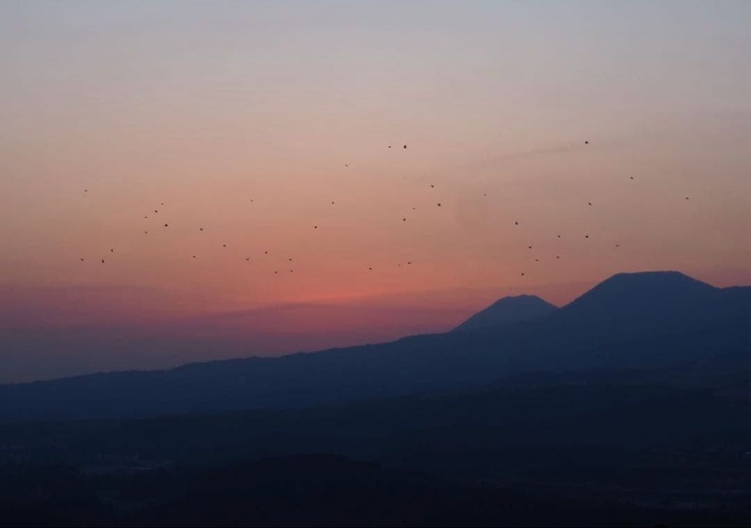 レンズ(ズーム) OLYMPUS M.ZUIKO DIGITAL 12-200mm 3.5-6.3