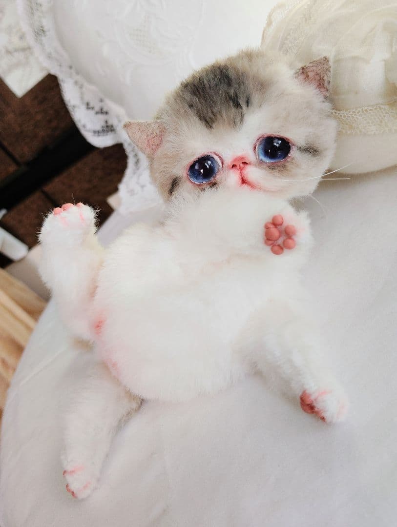 ママ募集❤ちゅるちゅるオメメの子猫ちゃん♡アートドール♡ぬいぐるみ♡