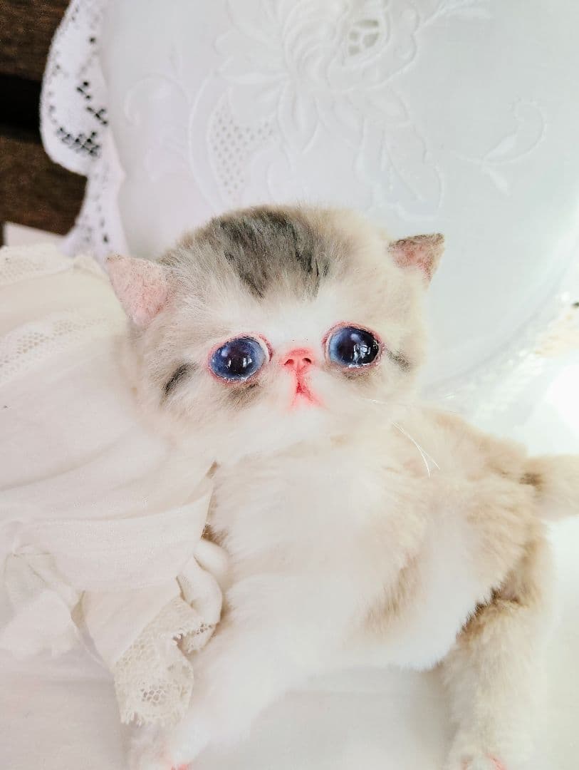 ママ募集❤ちゅるちゅるオメメの子猫ちゃん♡アートドール♡ぬいぐるみ♡