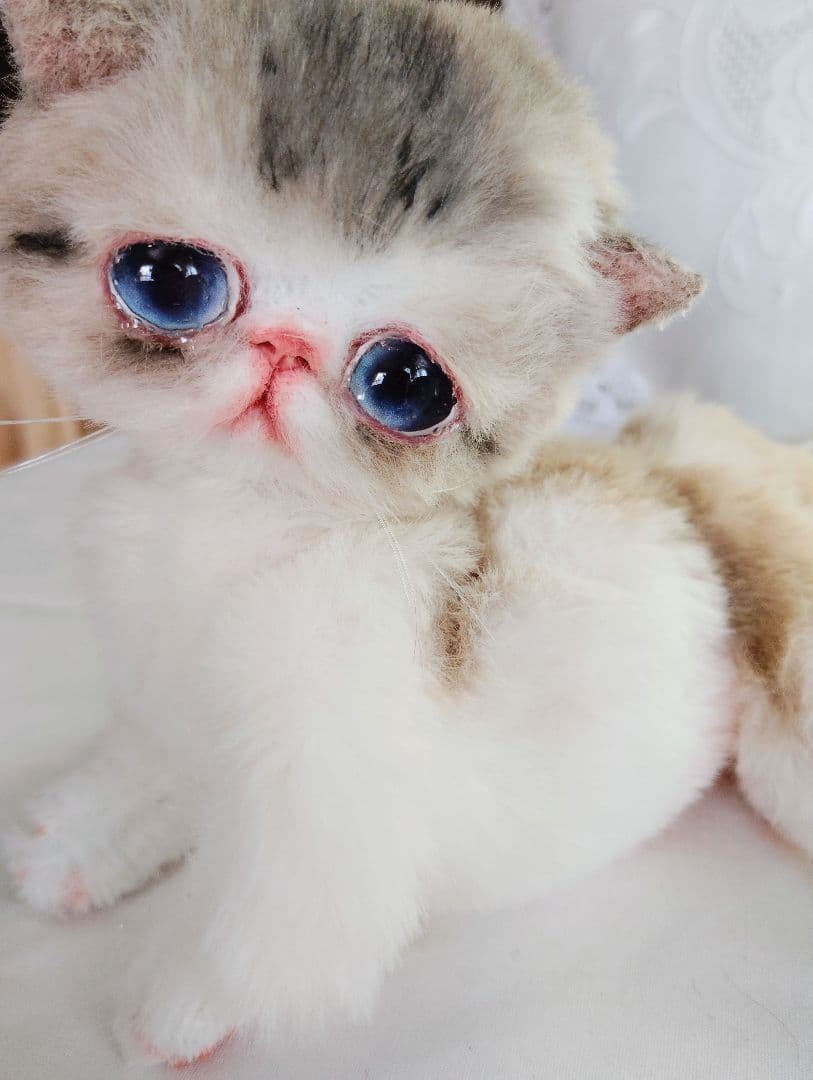 ママ募集❤ちゅるちゅるオメメの子猫ちゃん♡アートドール♡ぬいぐるみ♡