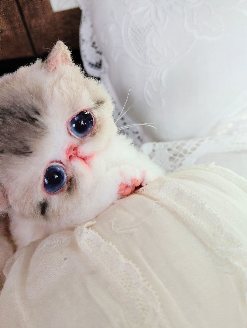 ママ募集❤ちゅるちゅるオメメの子猫ちゃん♡アートドール♡ぬいぐるみ♡