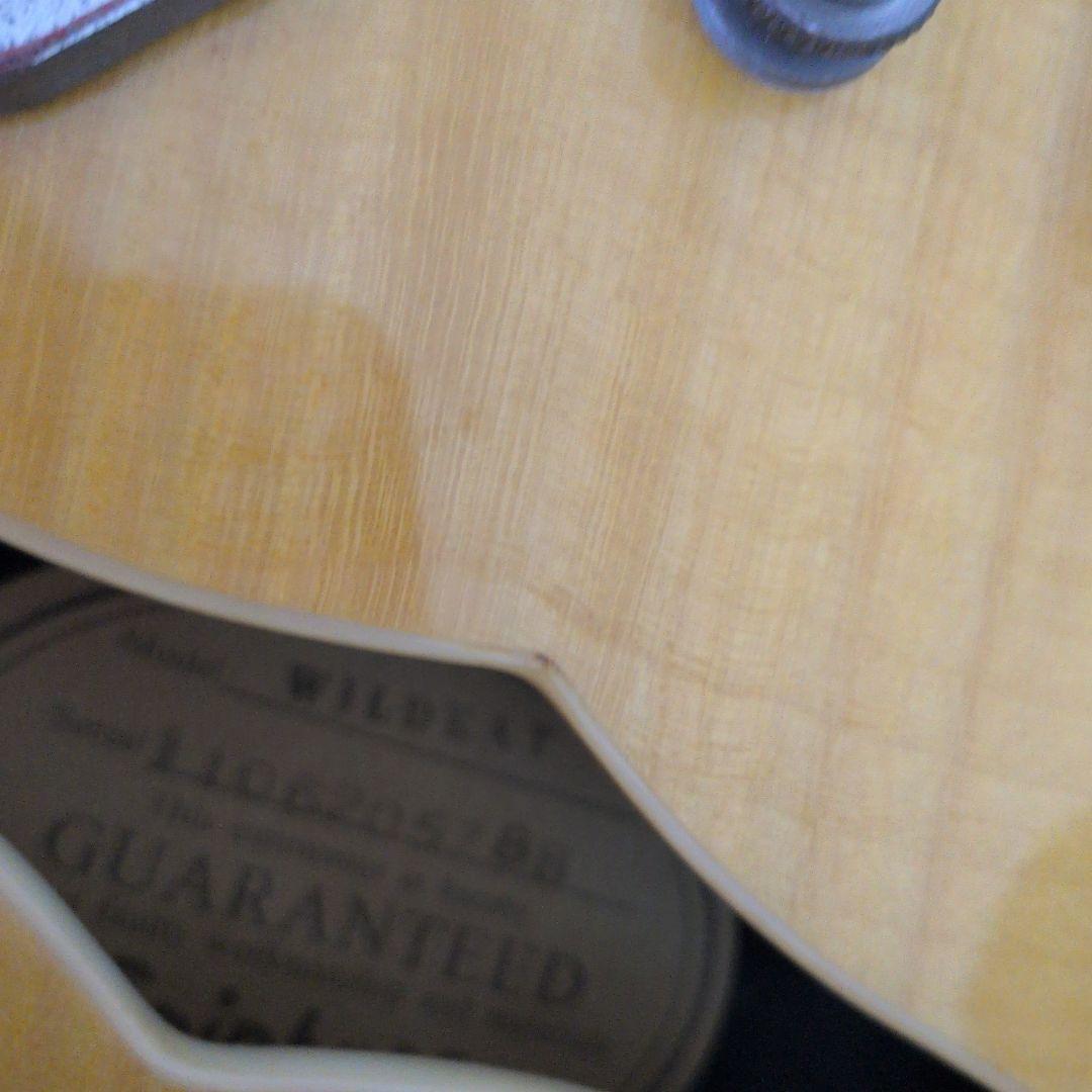 Epiphone wildcatセミホロウボディ ギター