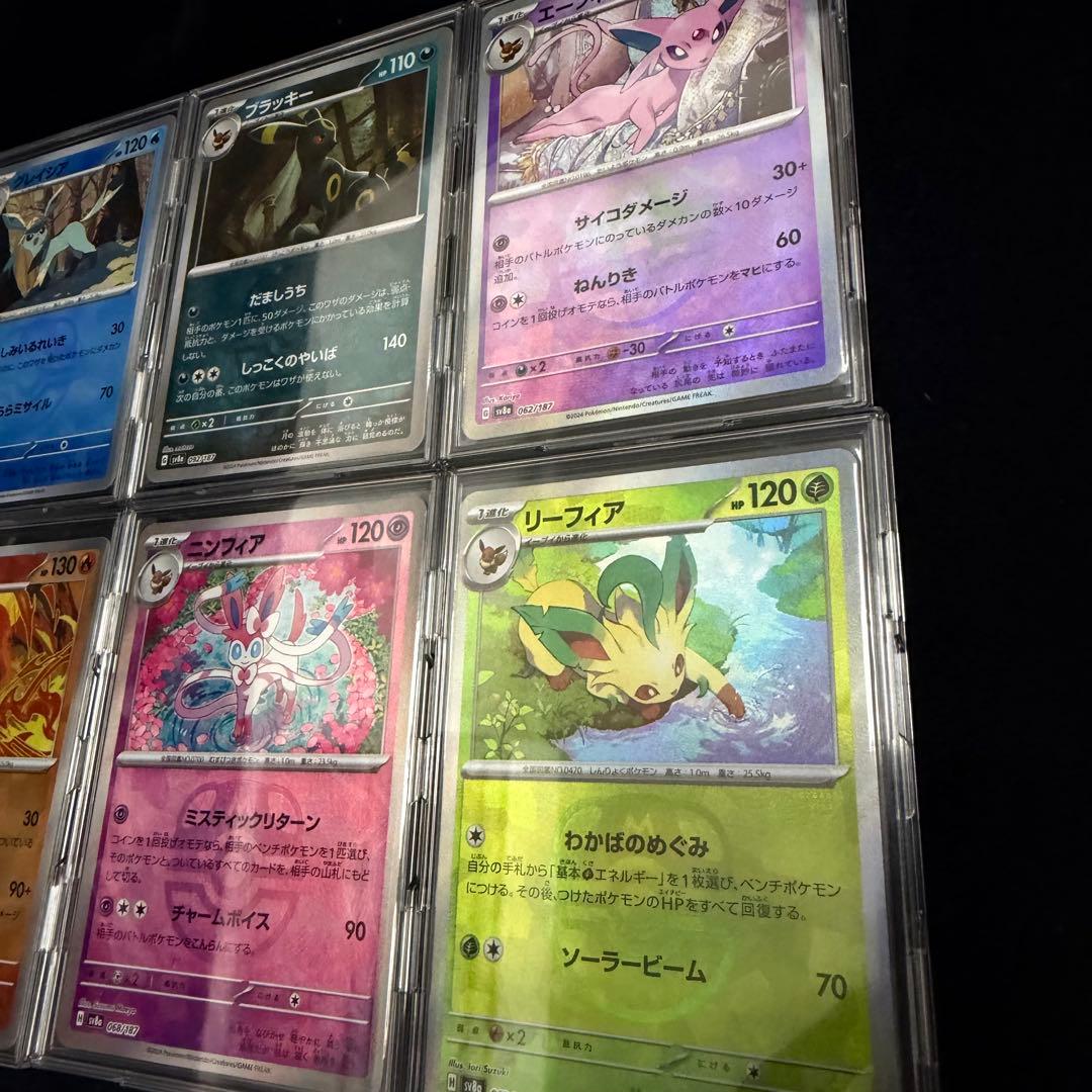 ポケモンカード ブイズ マスボミラー コンプリートセット