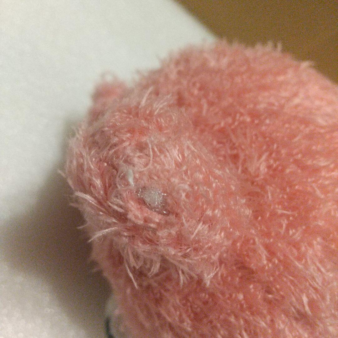 グル～ミ～＆クマキカイ BEFORE→AFTERぬいぐるみ CGP-079