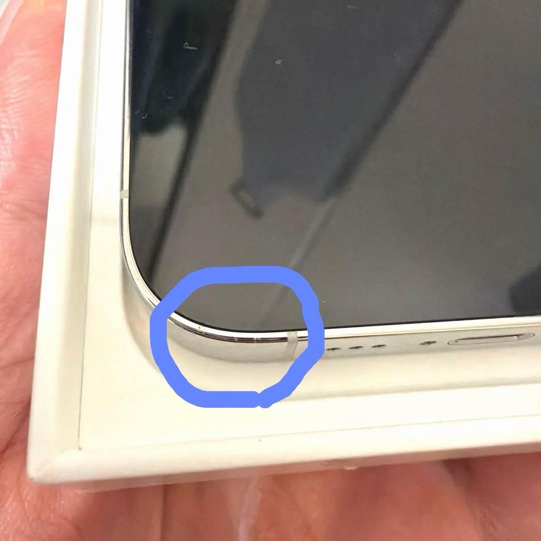 か*ん様 Apple iPhone 14 Pro シルバー 本体1TB SIMフ