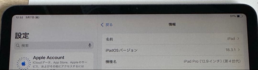 iPad Pro 12.9インチ 256GB 第4世代 スペースグレー