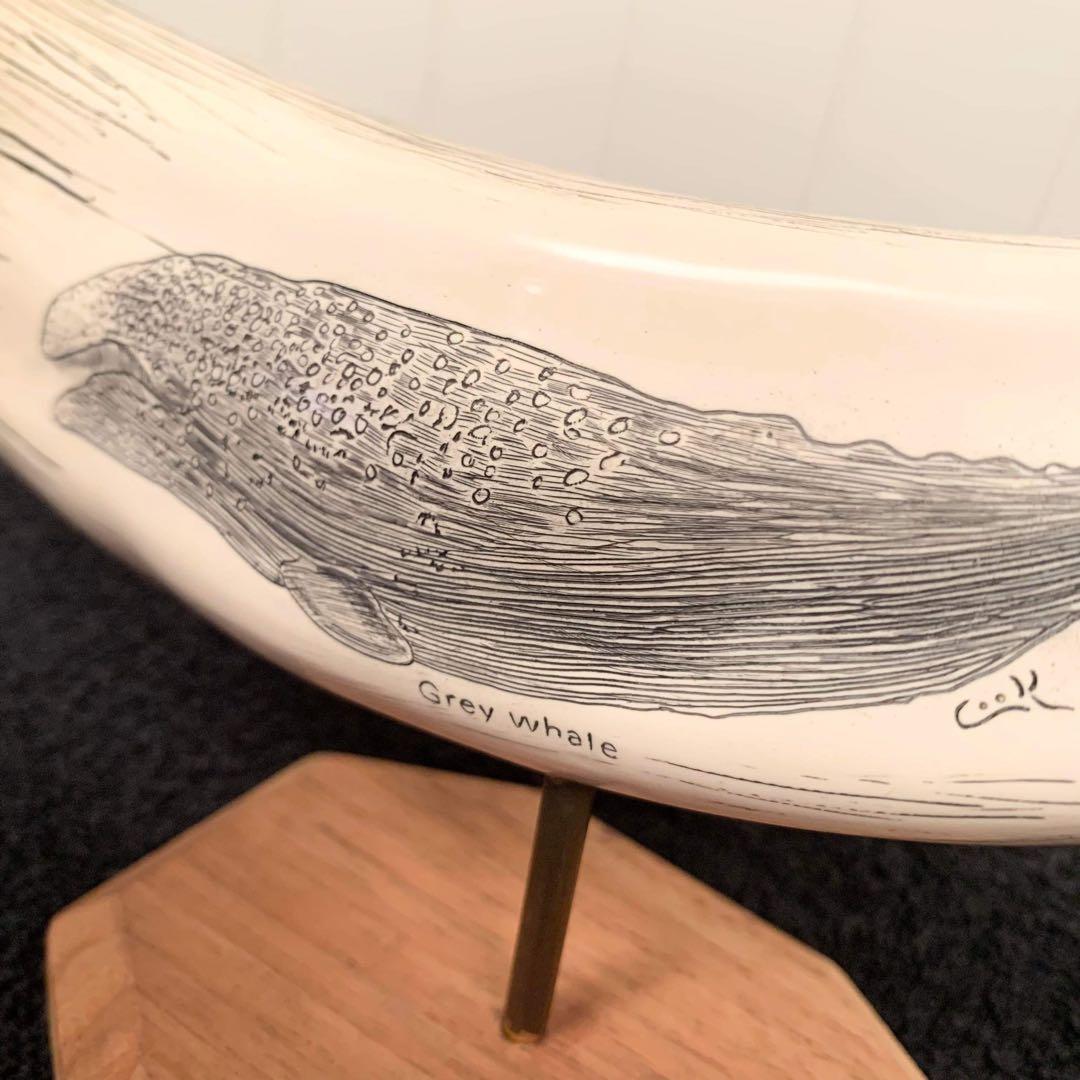 Greyクジラ オブジェ シリアル付 米国