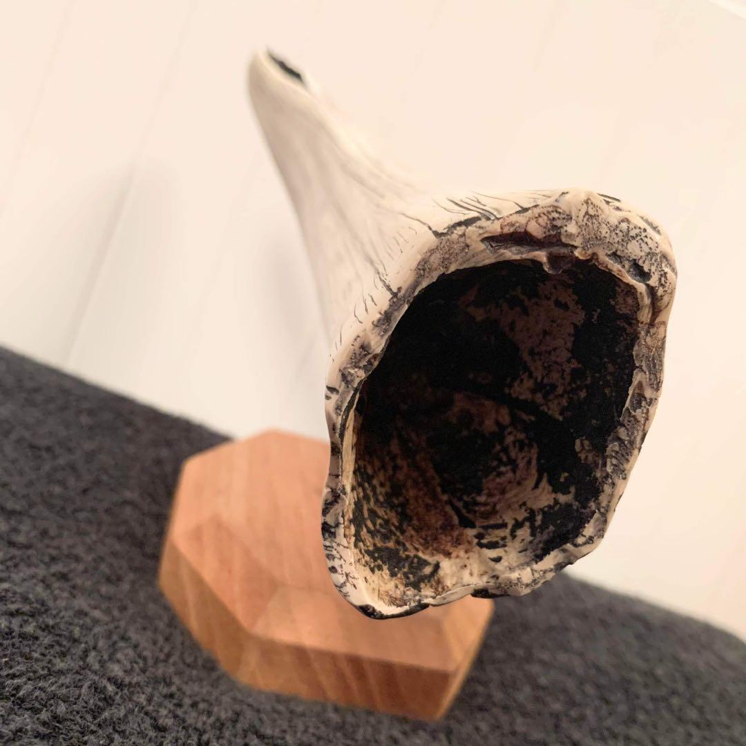 Greyクジラ オブジェ シリアル付 米国