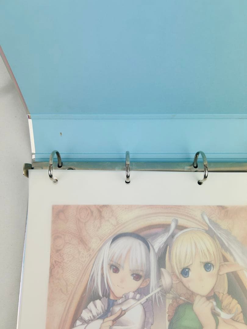 Shining Series 30Th Art collection 版画