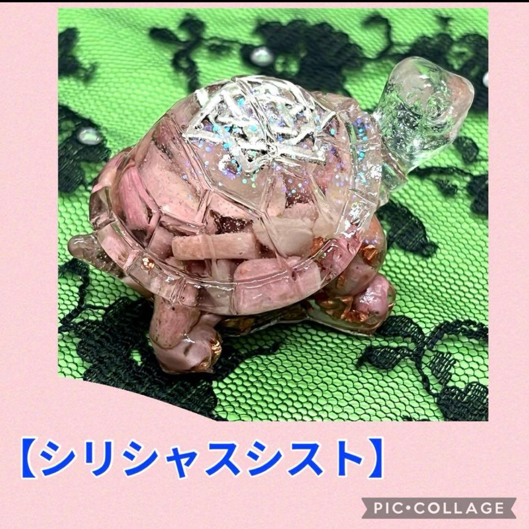 マコト