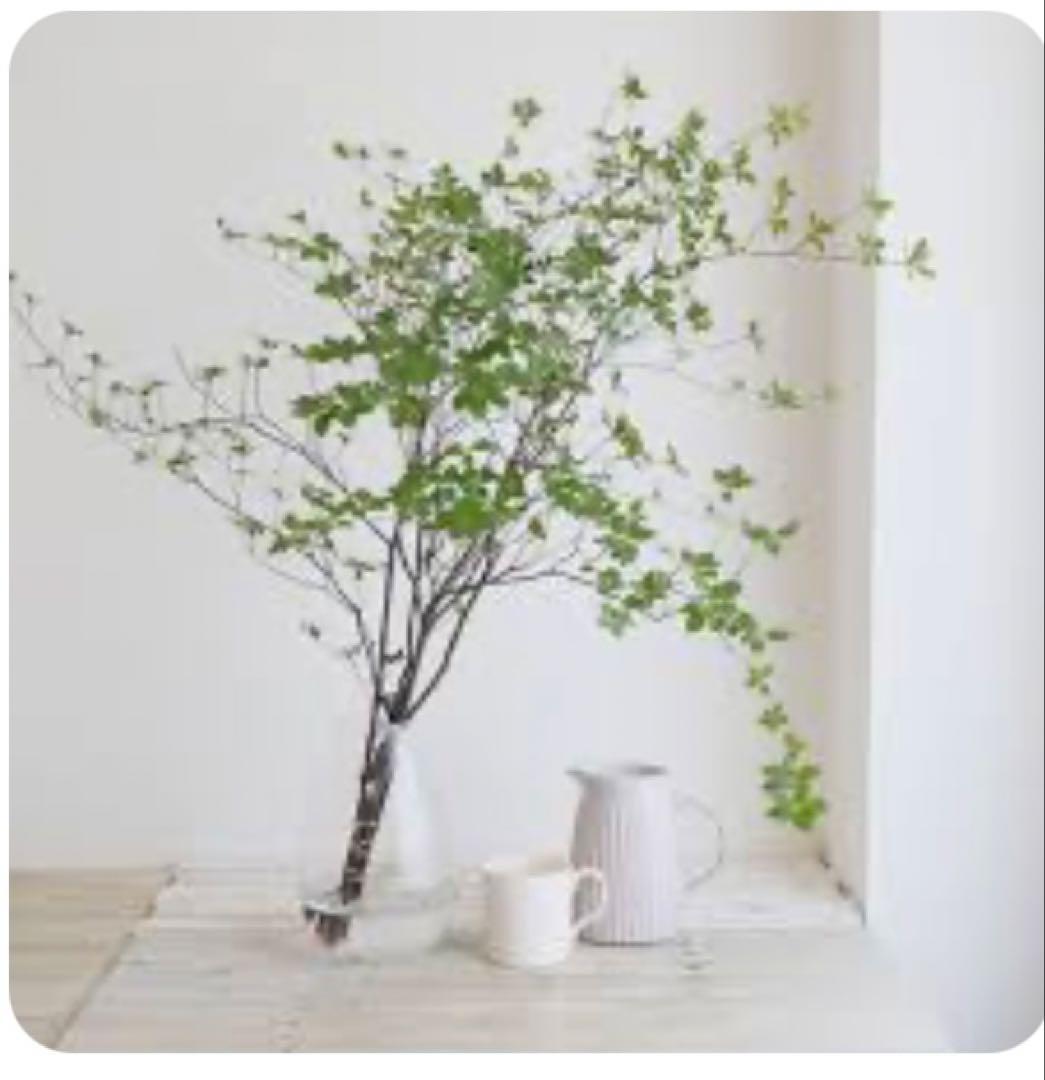 大型ガラス製花瓶 レザーストラップ付き