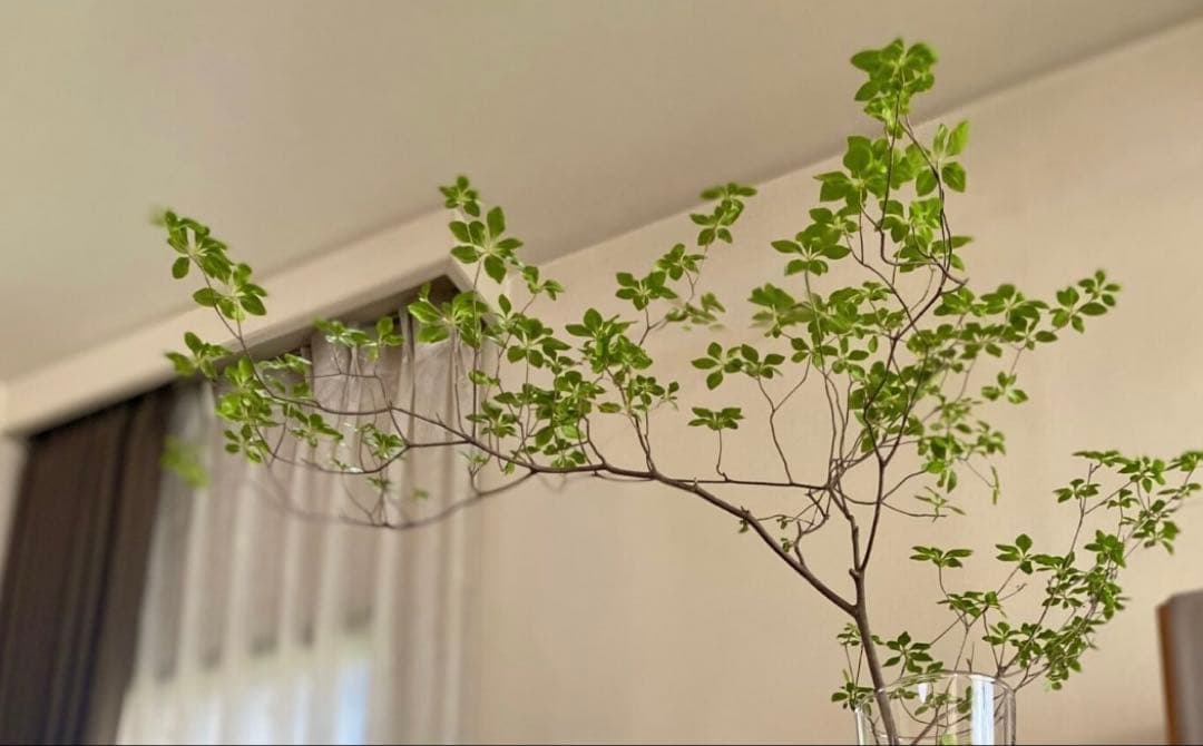 大型ガラス製花瓶 レザーストラップ付き