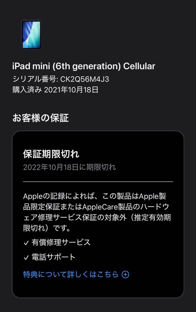 iPad mini 8.3インチ 第6世代 256GB パープル simフリー