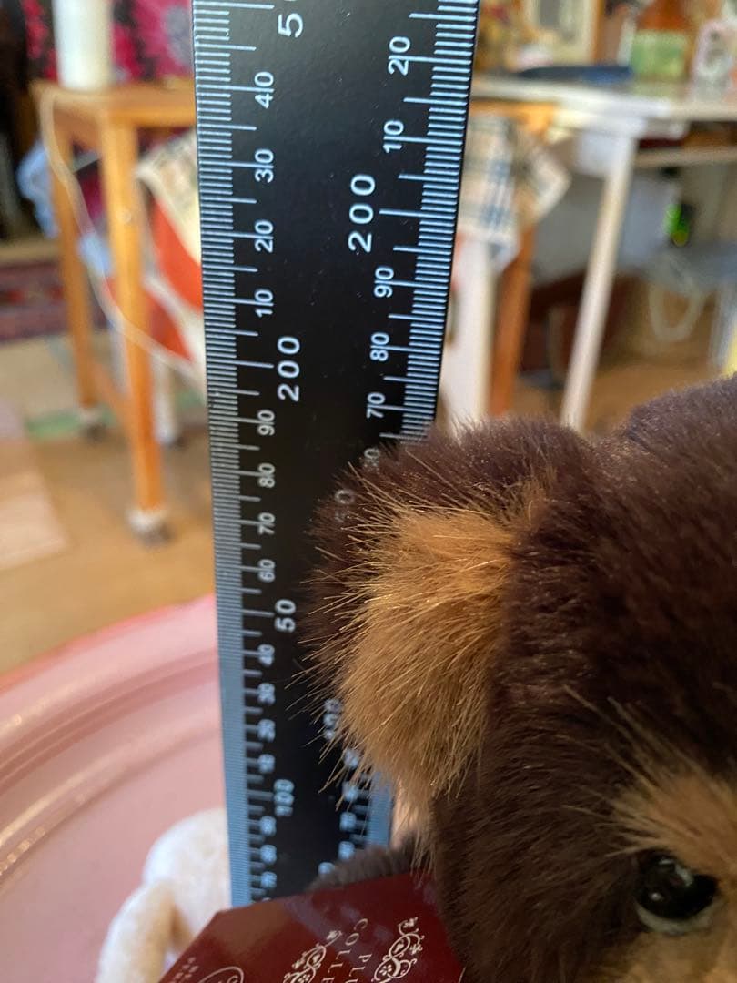 【希少】チャーリーベアーズ　 woodend テディベア　ダークブラウン