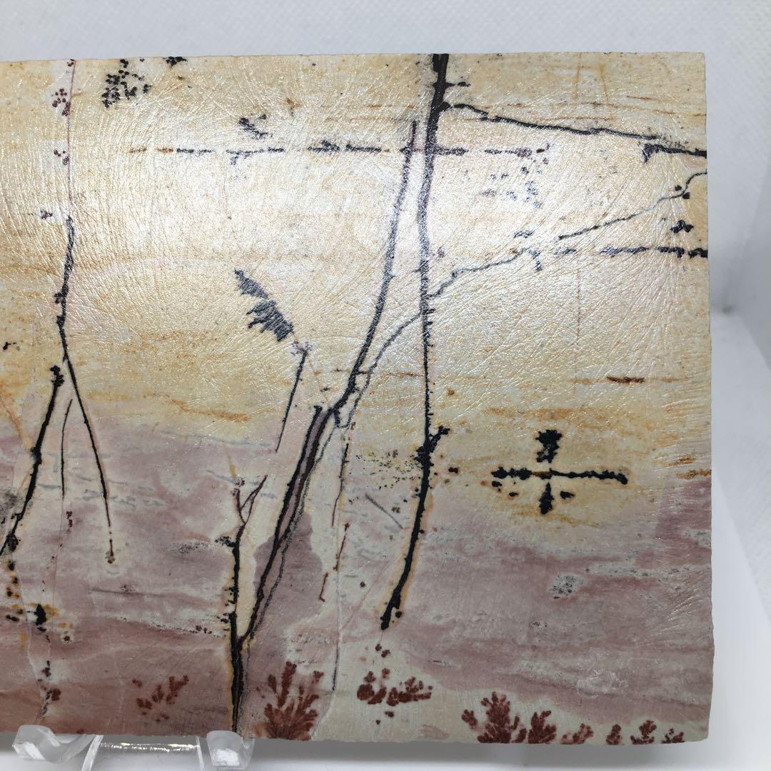 希少な逸品✨️デンドリティックピクチャージャスパー(ピクチャージャスパー)✨️