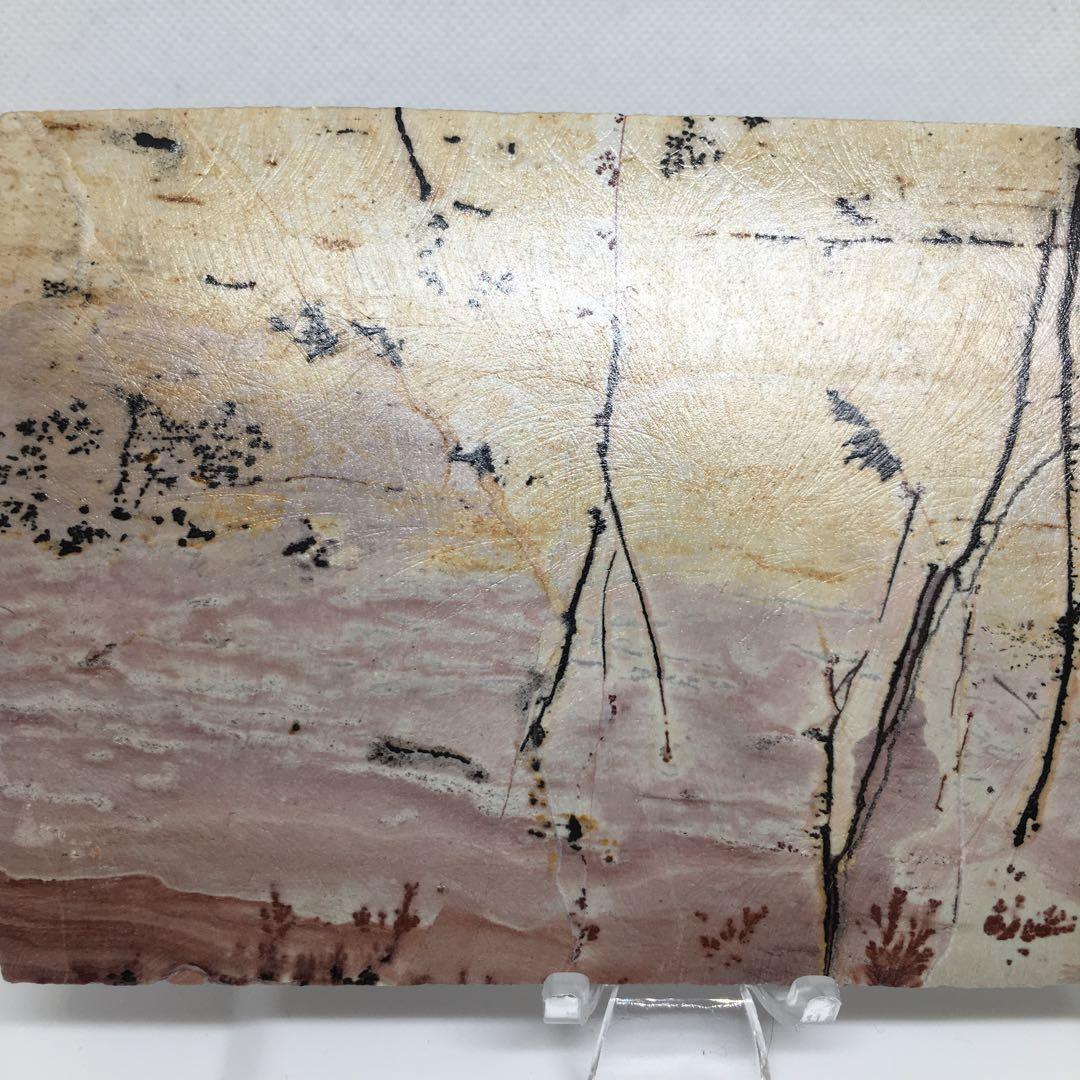 希少な逸品✨️デンドリティックピクチャージャスパー(ピクチャージャスパー)✨️