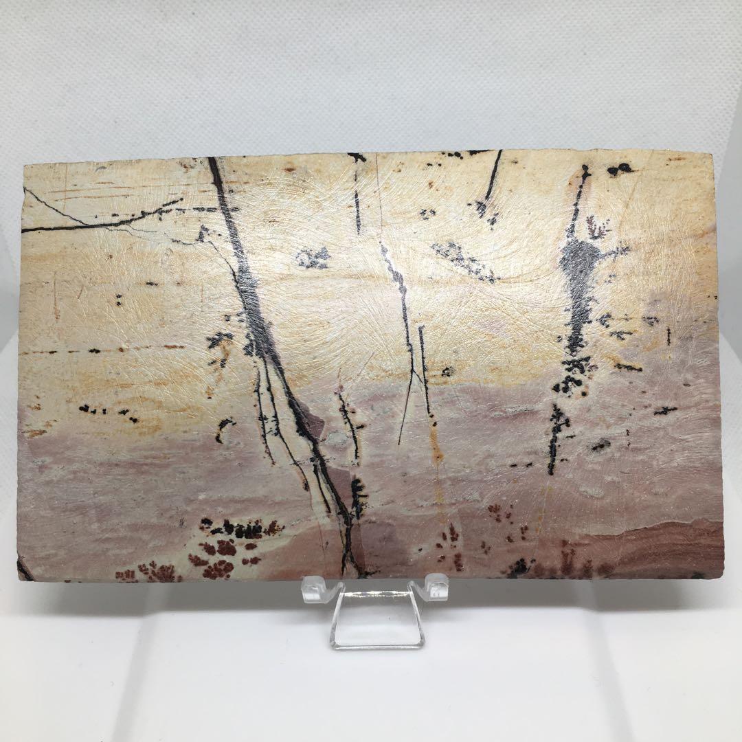 希少な逸品✨️デンドリティックピクチャージャスパー(ピクチャージャスパー)✨️