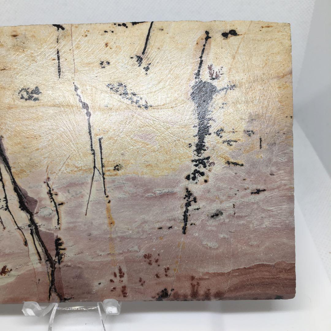 希少な逸品✨️デンドリティックピクチャージャスパー(ピクチャージャスパー)✨️