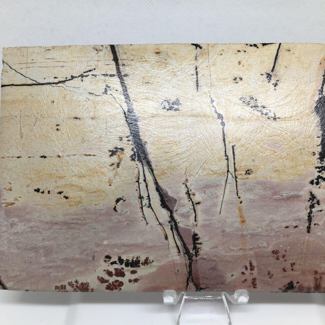 希少な逸品✨️デンドリティックピクチャージャスパー(ピクチャージャスパー)✨️