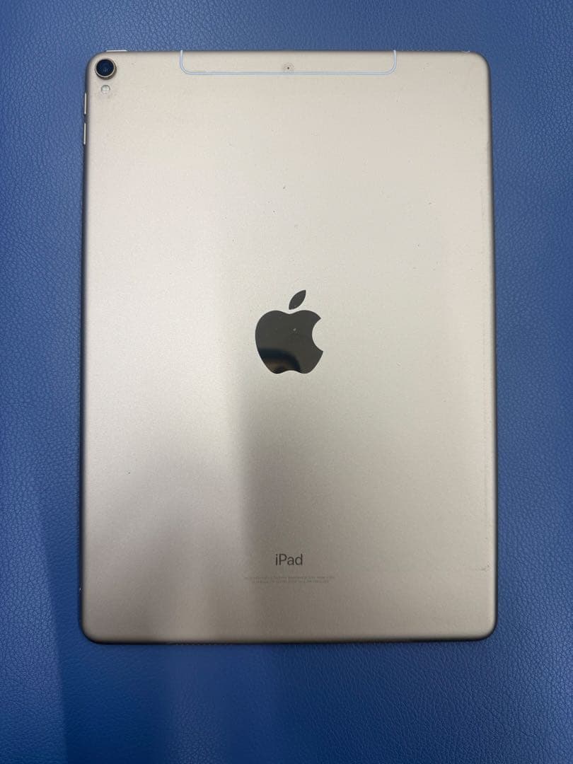 【プチトマトiPad Pro 10.5インチ　Apple Pencil付き