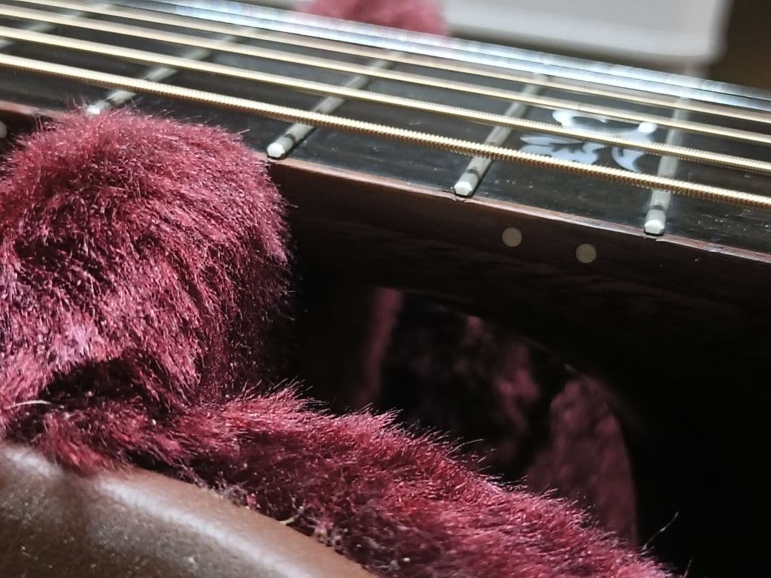 Morris モーリス S-91エレアコ　多少難あり