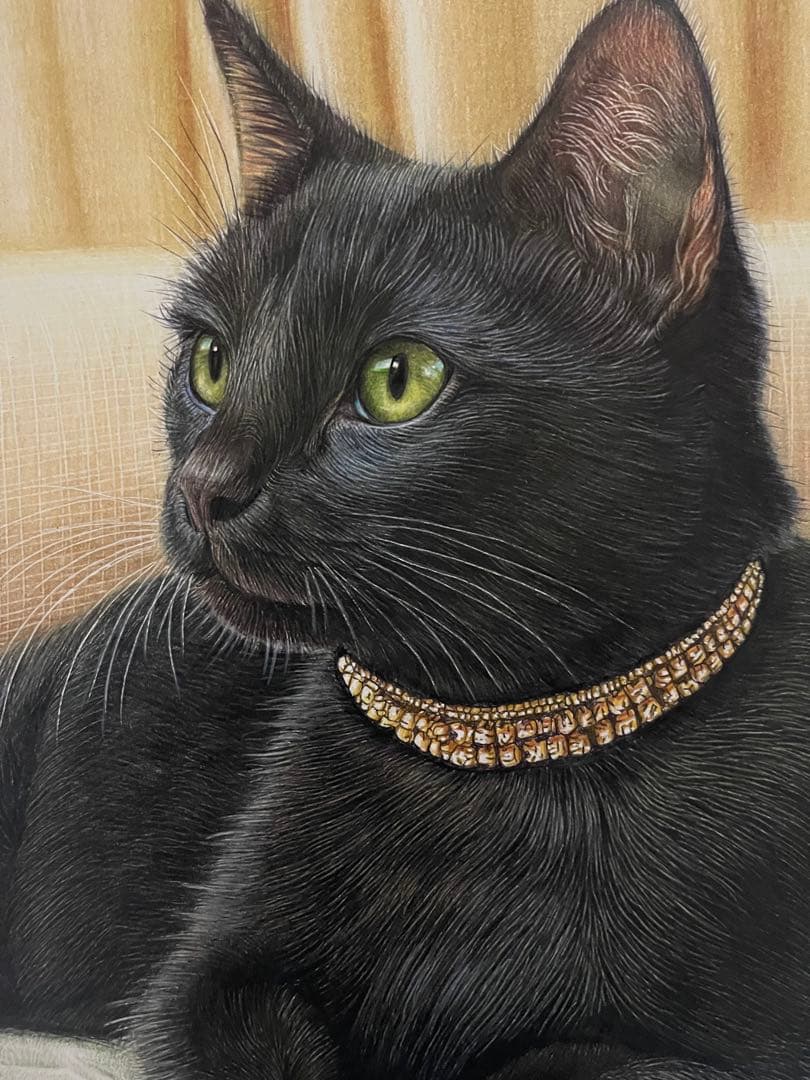色鉛筆画.A4.黒猫.52