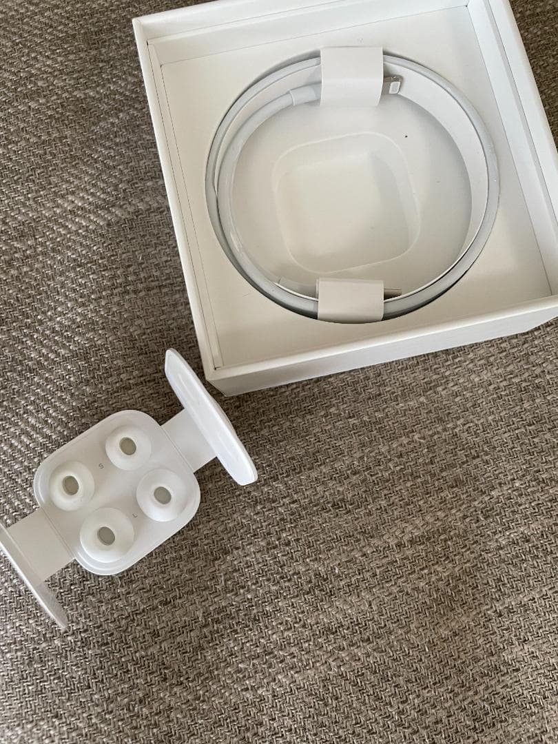 【使用済み】AirPodsPro　第1世代　専用カバー別売り可