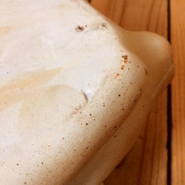 かわいい豚さんの陶器製蓋付プレート*食器*ぶたのお皿*ピッグ*アニマル動物ブタ