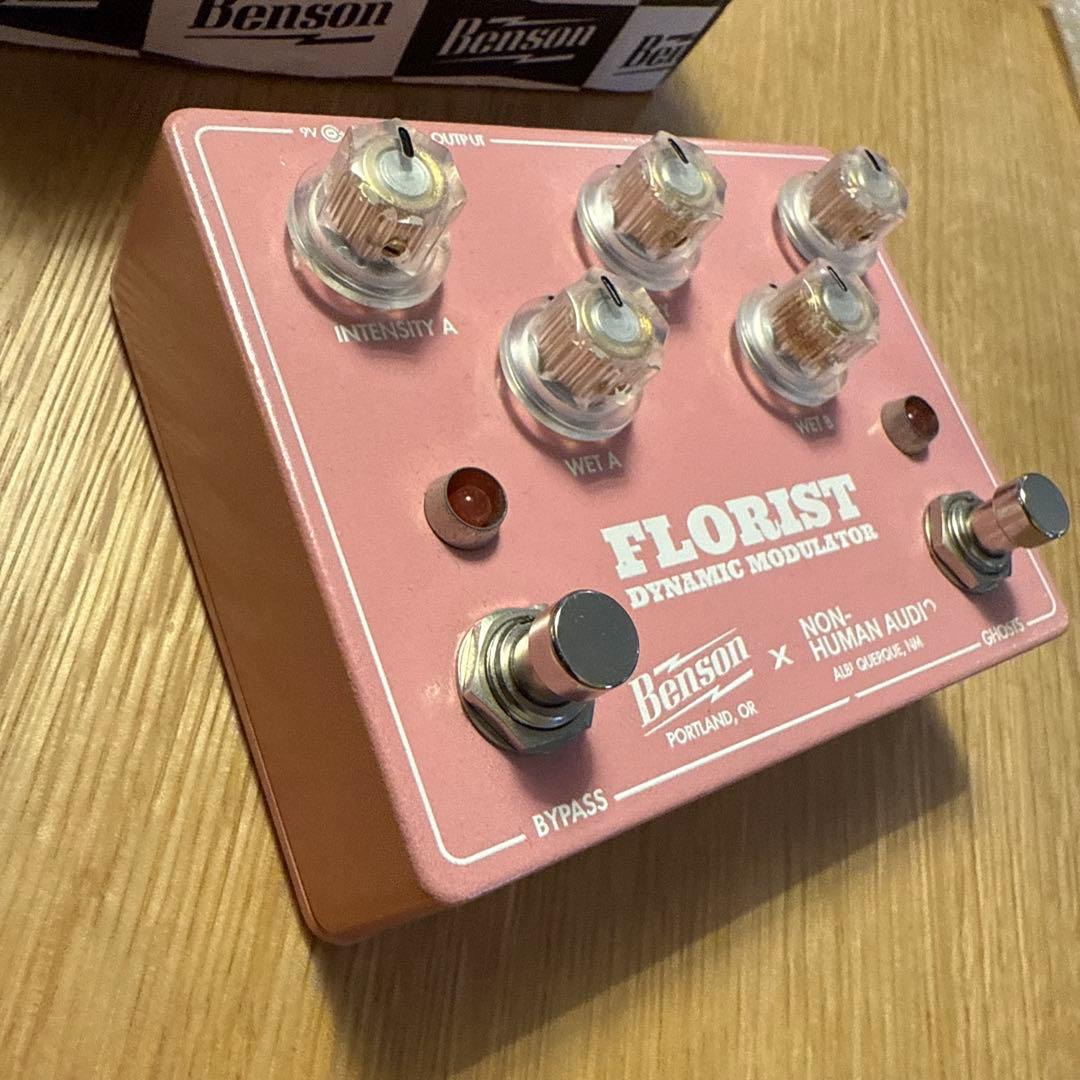 ギター Benson FLORIST