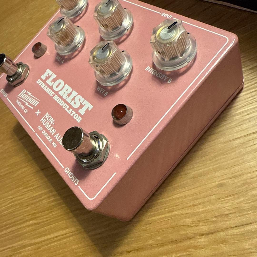 ギター Benson FLORIST