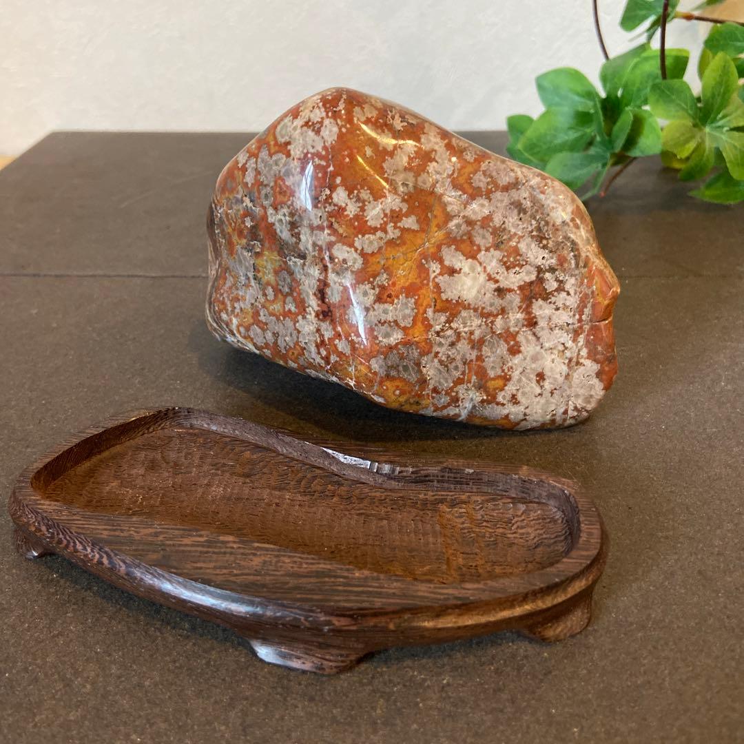 根尾桜石　寒桜　★ 鑑賞石　菊花石　桜石