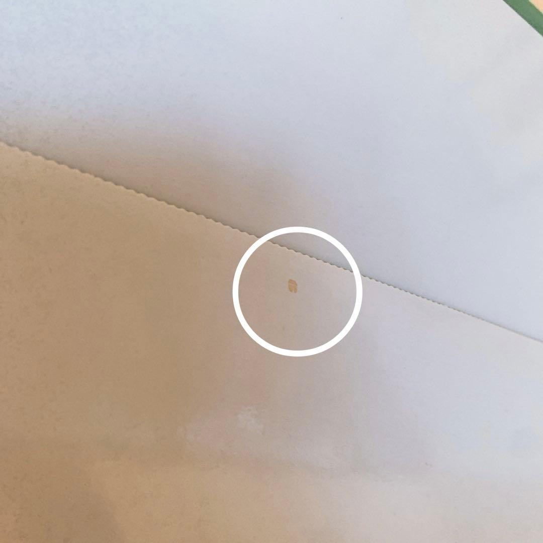 【未組立品】PG 1/60 ガンダムエクシア (LIGHTING MODEL)